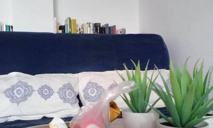 El Chorrillo House | STUDIO APARTMENT IN QUIET RESIDENTIAL AREA, WITH GARDEN RADAZUL