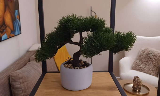 Mitte Apartment | Studio Apartment 'Berlin Mitte'