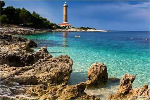 Veli Rat Apartment | Studio apartment in Veli Rat with sea view, balcony, washing machine 882-1