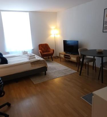 Old Town Apartment | Studio at famous Storchengasse - Stork 44