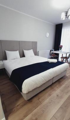 Baia Mare Apartment | Studio Ema