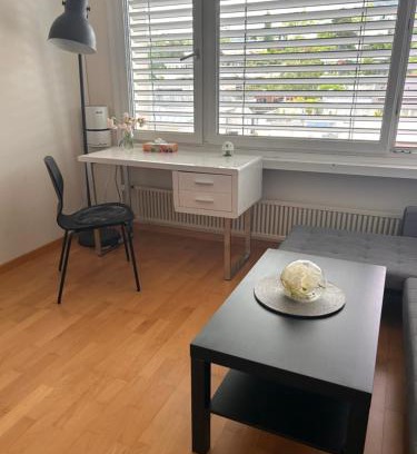 Zug Apartment | Studio flat in the heart of Zug, ideal for solo travellers