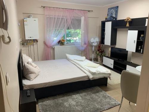 Satu Mare Apartment | Studio Gaby