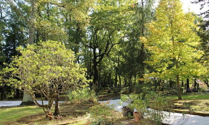 Massa Marittima Villa | Stunning private villa for 10 people with WIFI, private pool, TV, patio and pets allowed