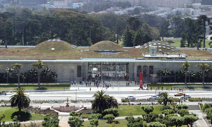 Inner Sunset Apartment | Stylish, Beautifully Designed Apt. near Golden Gate Park