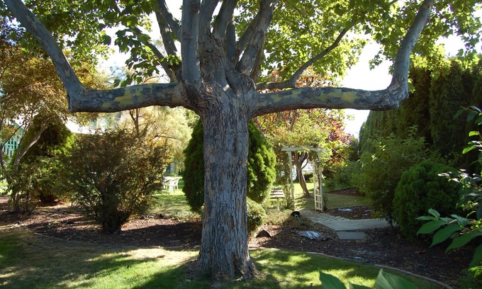 Okanagan-Similkameen Hotel | Summerland Motel