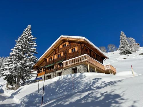Braunwald Apartment | Sunnehuesli