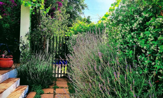 Franschhoek Apartment | Sunny Lane