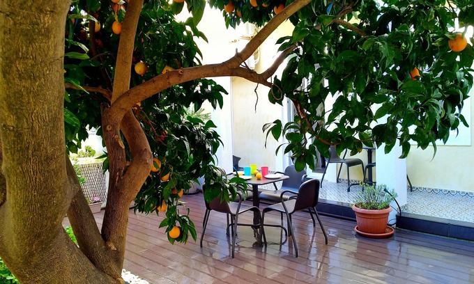Penha de Franca Apartment | Sunny orange garden apartment in central Lisbon