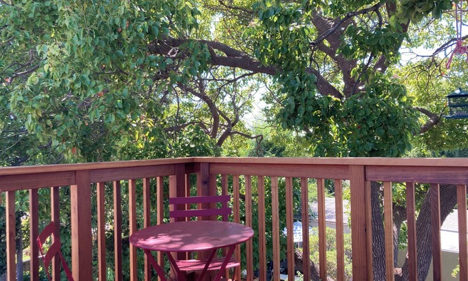 Upper Telegraph Apartment | Sunny Spacious Tastefully Furnished Top-Floor Apartment: Berkeley-Oakland Border