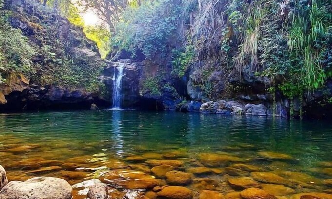 Papaaloa Cabin | Sunrise Farm Retreat Cabin - Farm Stay Hawaii