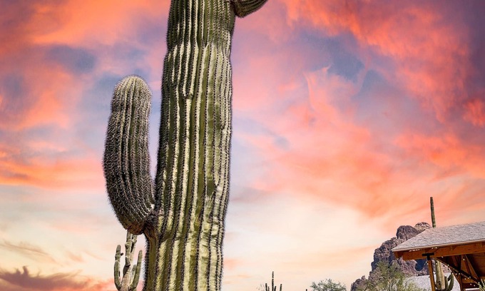Apache Junction House | Superstition Mountains at Your Doorstep! Remodeled Bungalow!
