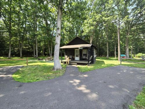 Oakland House | Swallow Falls Cabin 2