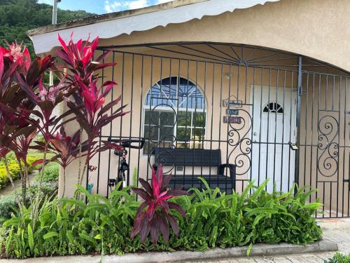 Montego Bay Apartment | Symone Palms Retreat