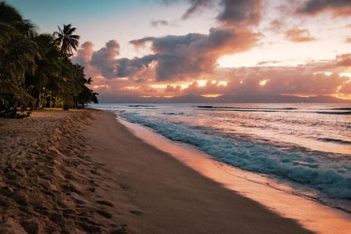 Port-Louis Apartment | T2 Proche de la Plage du Souffleur - Villa Minerva