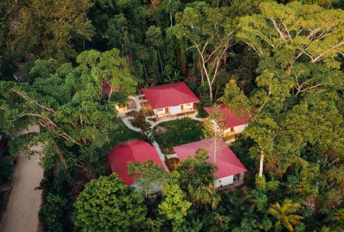 Tarapoto Cabin | Taki Tambo Lodge