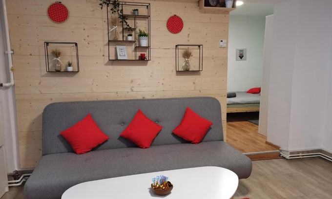 Centrul Vechi Apartment | Tampa studio