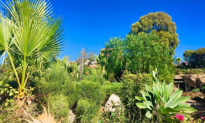 La Escalona House | "Tenerife Nature Retreat"