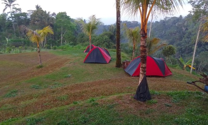 Taro Other | Tent gastronomy