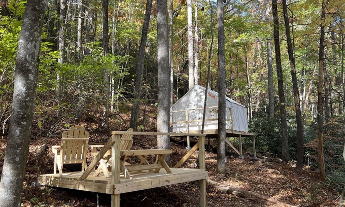 Brevard RV Rental | Tentrr Signature Site - Fern Forest Hideaway