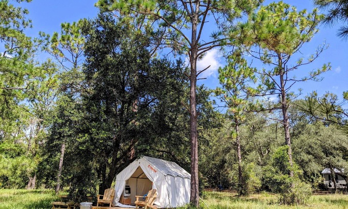 Edgar RV Rental | Tentrr Signature Site - Wind in the Pines North Florida Lake Retreat