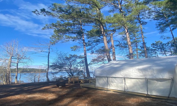 Anacoco RV Rental | Tentrr State Park Site - Louisiana South Toledo Bend State Park - Site D - Sin