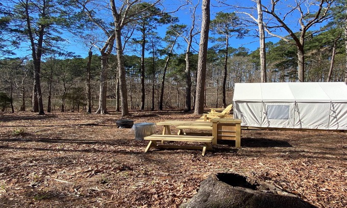Anacoco RV Rental | Tentrr State Park Site - Louisiana South Toledo Bend State Park - Site F - Sing