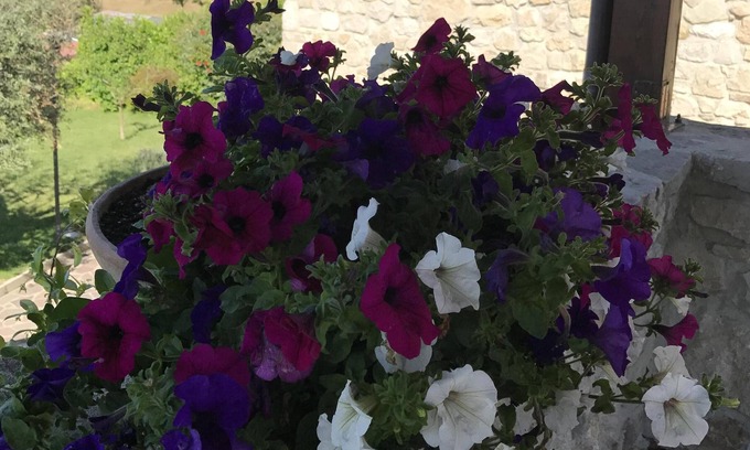 Montefalcione House | Tenuta Militerni