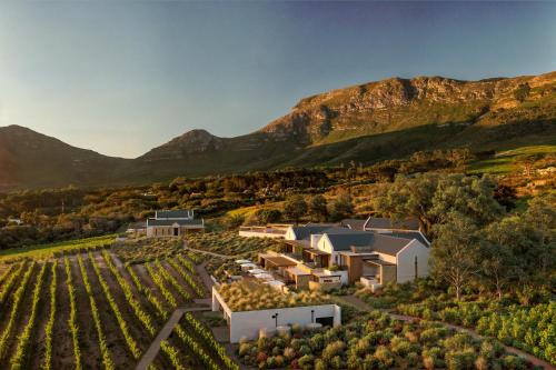 Noordhoek Bed & Breakfast | The Alexander Estate - Cape Point Vineyard, Noordhoek