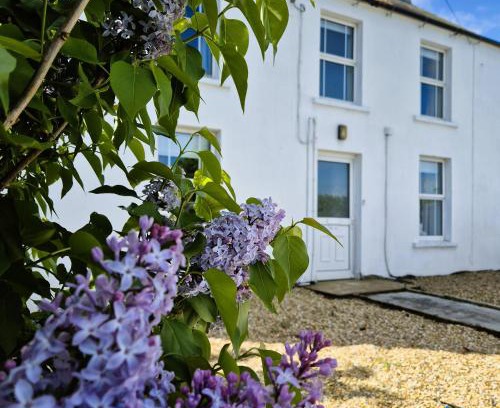 Dromore House | The Alpaca Farmhouse with hot tub and alpaca experience included