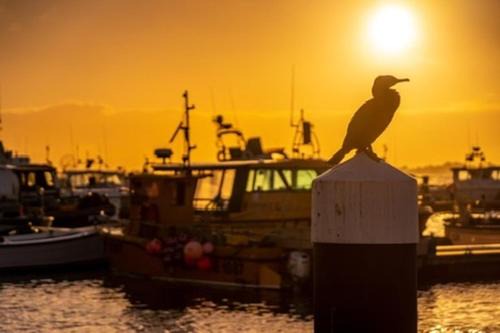 Poole Apartment | The Apartment - Perfect Location on Poole Quay - Beatiful Roof Terrace - Free Parking