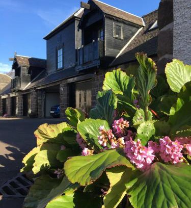 Crieff Apartment | The Art Loft at Beechtrees, Crieff