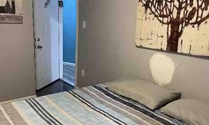 Ampere Apartment | The Bloomfield #669