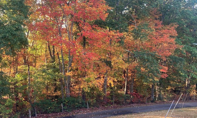 Candler House | The Blueridge Bungalow