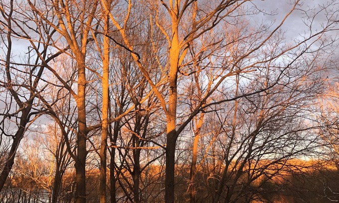 Bloomingdale House | The Copper Cottage. Bloomingdale, MI on AllSports Muskrat lake. 1800 sqft home.