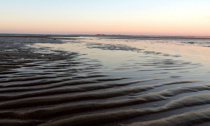 Cowes Cottage | The Cottage-100m to beach, dog friendly, Vacancy for upcoming school holidays