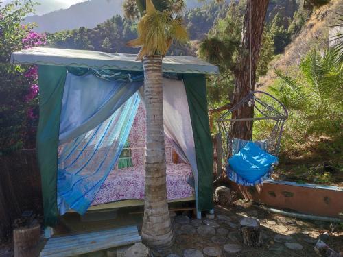 El Paso Other | The Cradle of the Moon, Rivendell