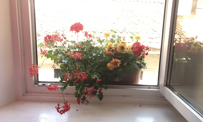 Centrul Vechi Apartment | The Enchanting Flat