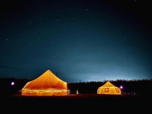 Maidstone Other | The Follies Glamping