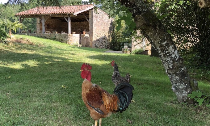 Cuzorn House | The Gîte de Lescarcelle near Château de Bonaguil