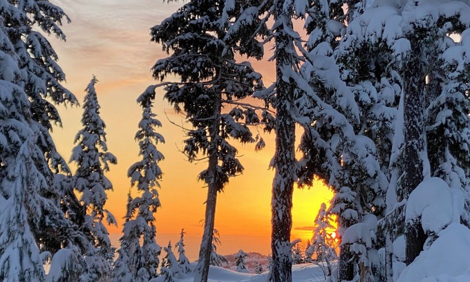 Courtenay Bed & Breakfast | The Jacky Winter