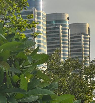 F-7 Sector House | The Life Style opp Canturus Mall