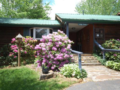 Candler Cabin | The Lodge House