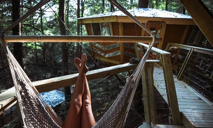 Rogers Hotel | The Looking Glass: A Pair of Mirrored Treehouses