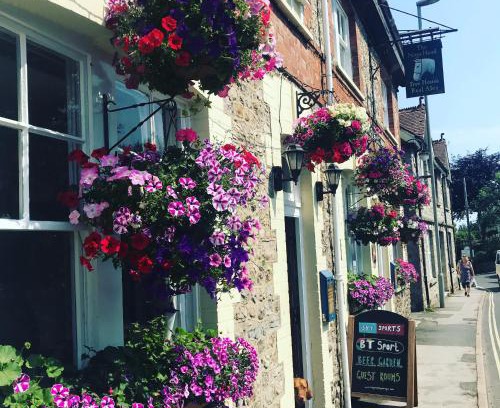 Lyme Regis Hotel | The Nags Head - Room only accommodation