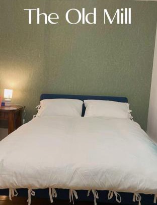 Roding Apartment | The Old Mill