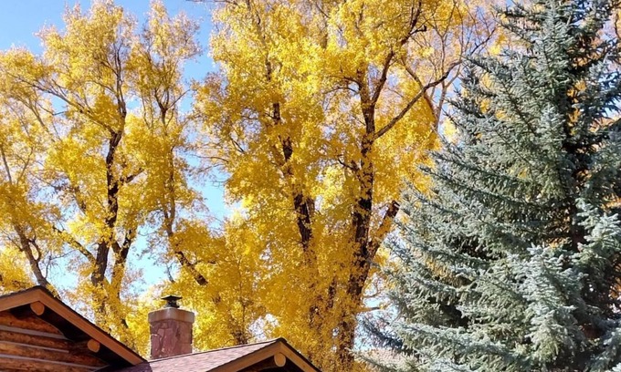 Dubois House | The Ranch House