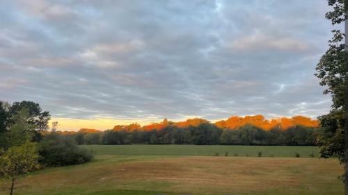 Texico Other | The Rest Mobile