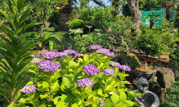 Seongsan House | The Some Pension