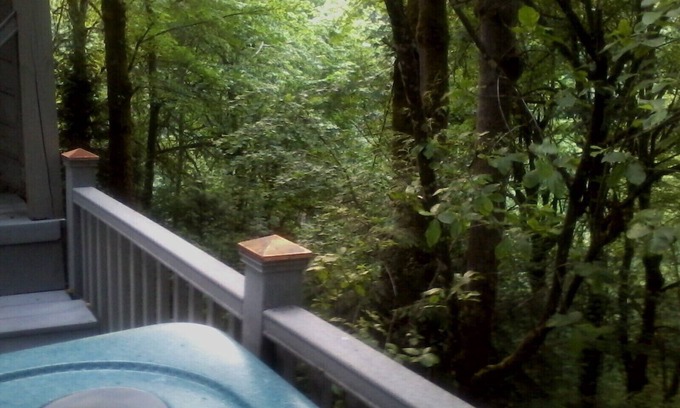 Hidden Springs Apartment | The TreeHouse Too - 2 BR Attached In-Law Flat/Apt. w/Spa & Mucho Amenities .